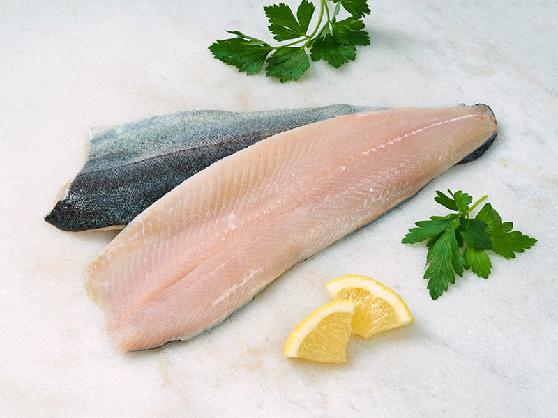 Rainbow Trout Fillet