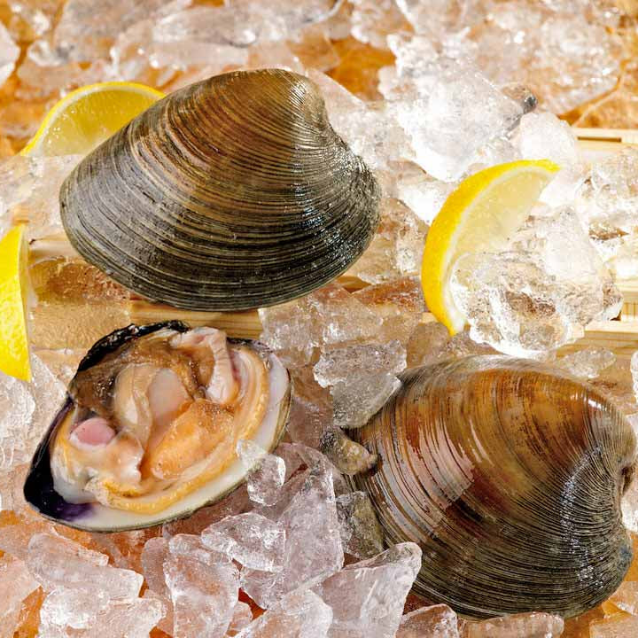 Cherrystone Clams with ice and lemons