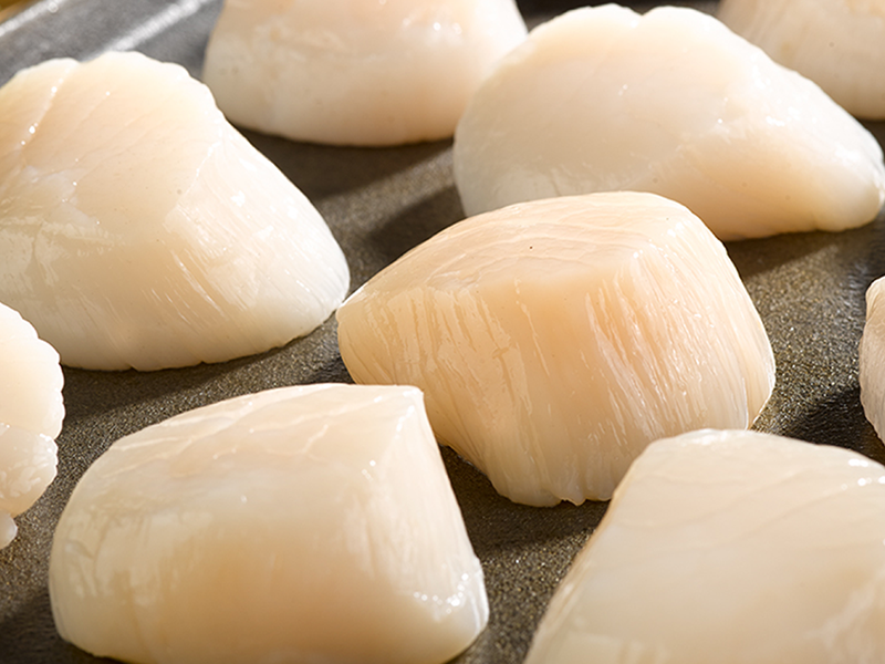 Dry Sea Scallops