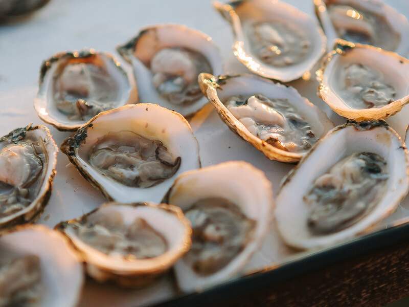 Oysters