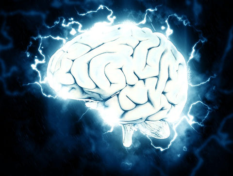 Foto van het brein als voorbeeld hoe endorfine wordt aangemaakt