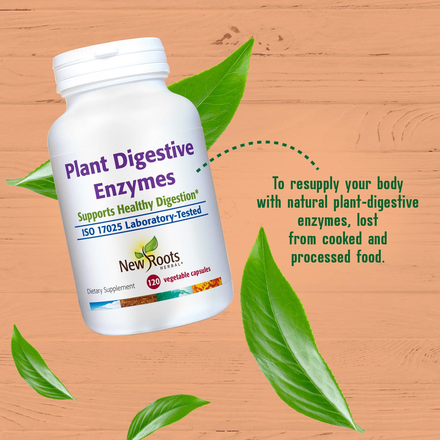 Plant Digestive Enzymes