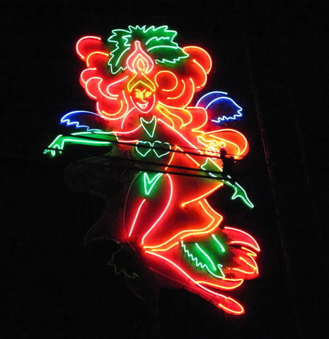 the image is showing a brazil's festivals Rio Carnival Neon Sign