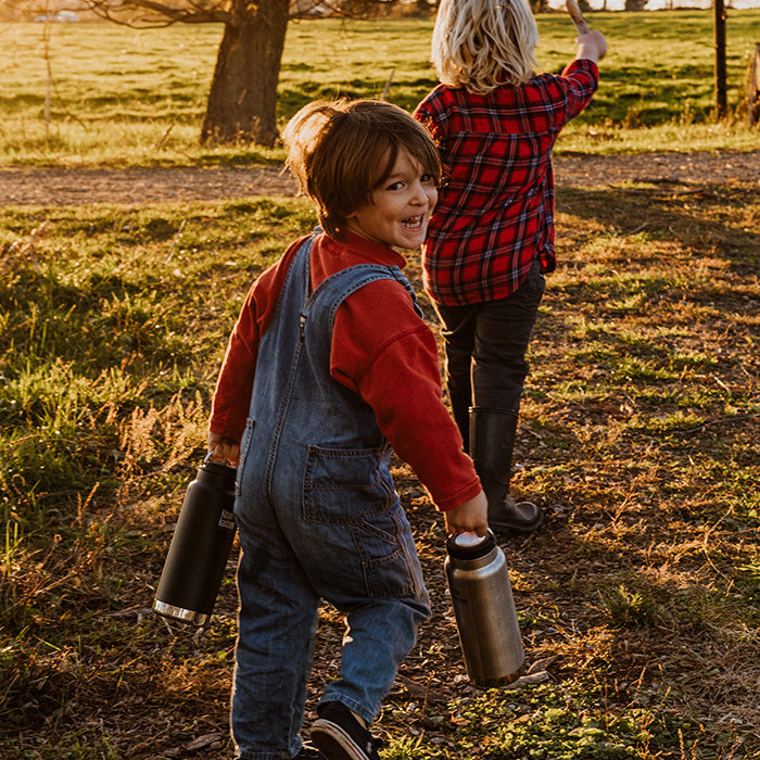 Kids picking apples in orchard