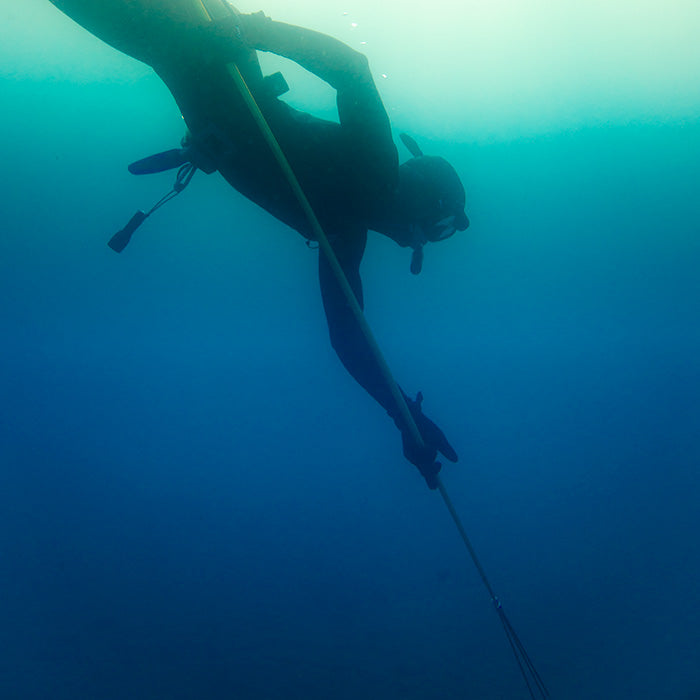 Spearfishing underwater