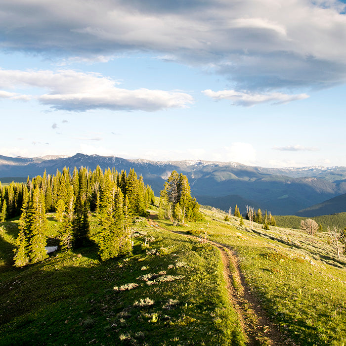 Running in the mountains