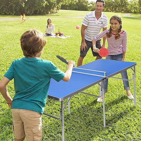 Portable table tennis table