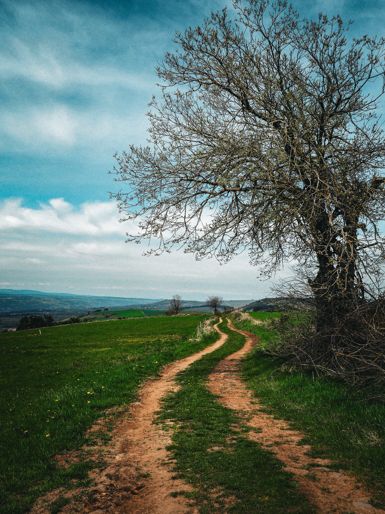 Chemin de Stevenson Randonnée