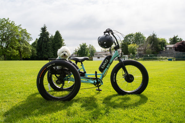 ENVO etrike dans le parc