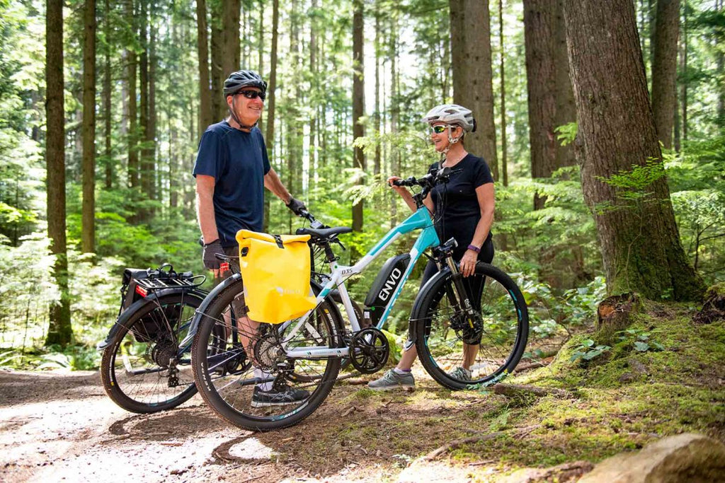 Older adults owning electric bikes in canada