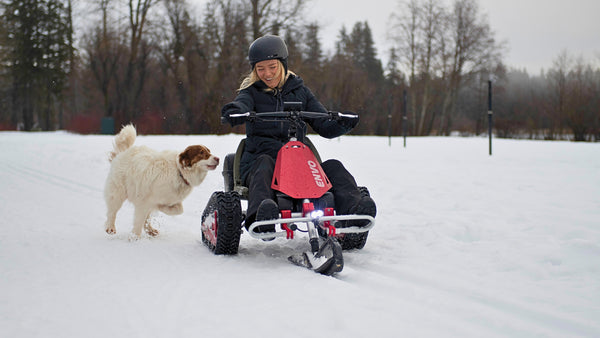winter fun on snow and frozen lake for all with ENVO snow kart snowkart