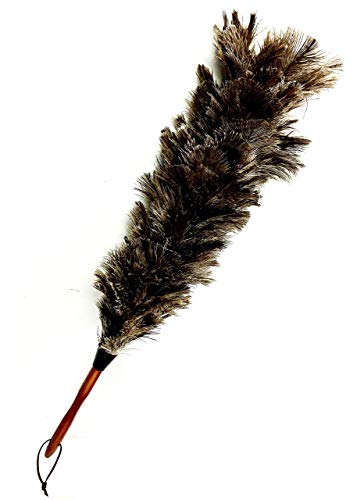 ostrich feather duster long handle