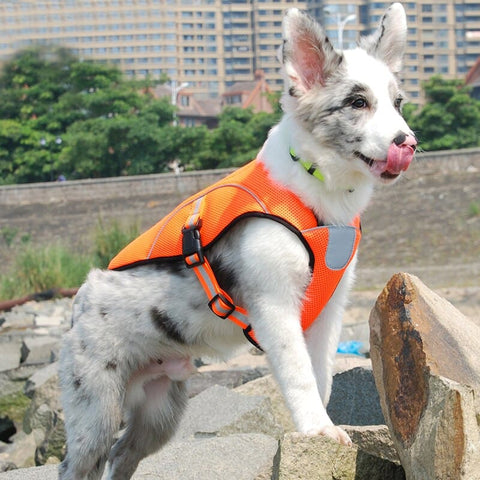 Dog Cool Summer Swimming Jacket