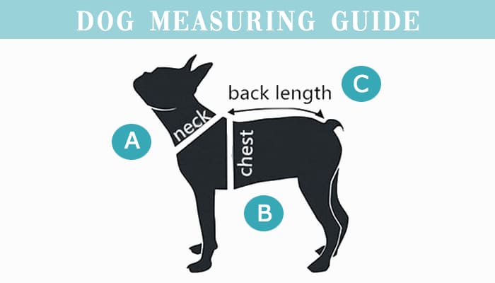 Dog Clothes Sizing Information