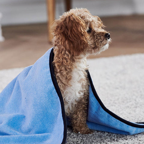 Microfibre Dog Towel