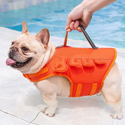 Best Dog Life Jacket