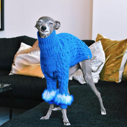 Dog Sweater Tika Iggy