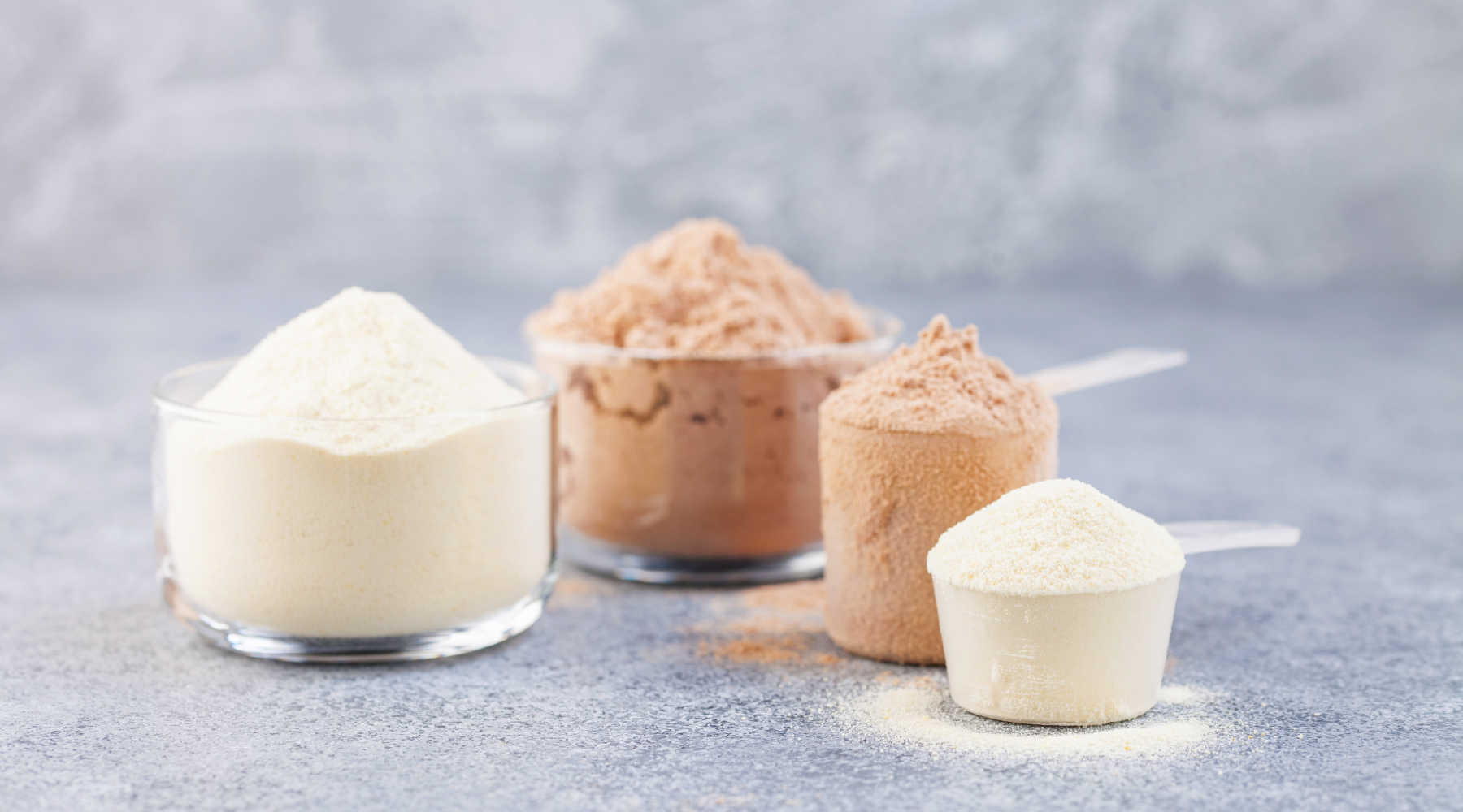 What are Protein Powders?