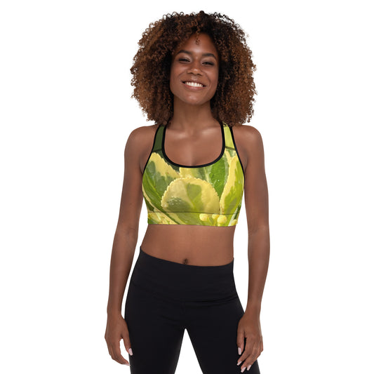 Solid Cami Sports Bra Women Vest Type Push Up Gym Crop Top Padded