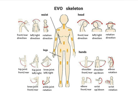 EVO skeleton