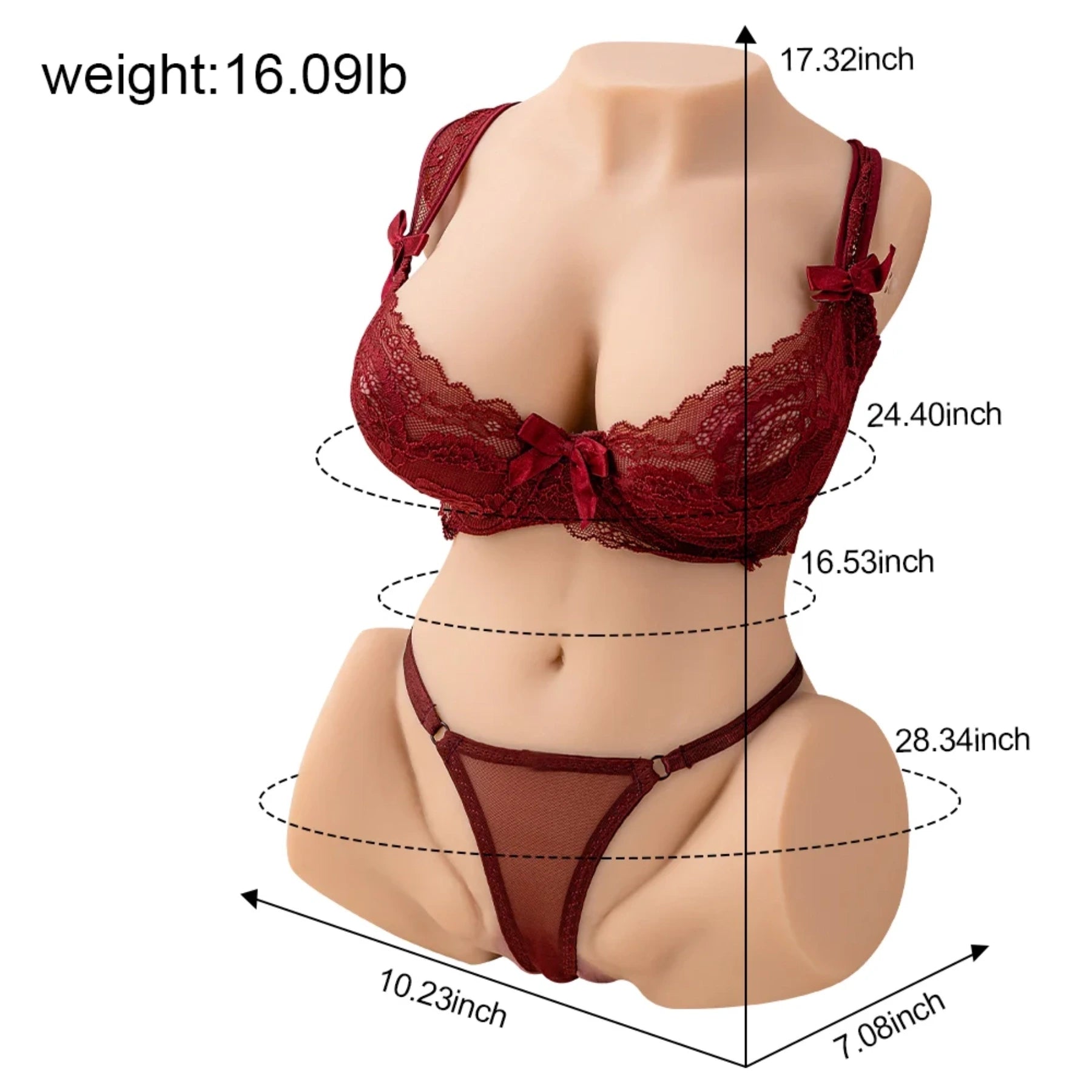 sex doll torso size