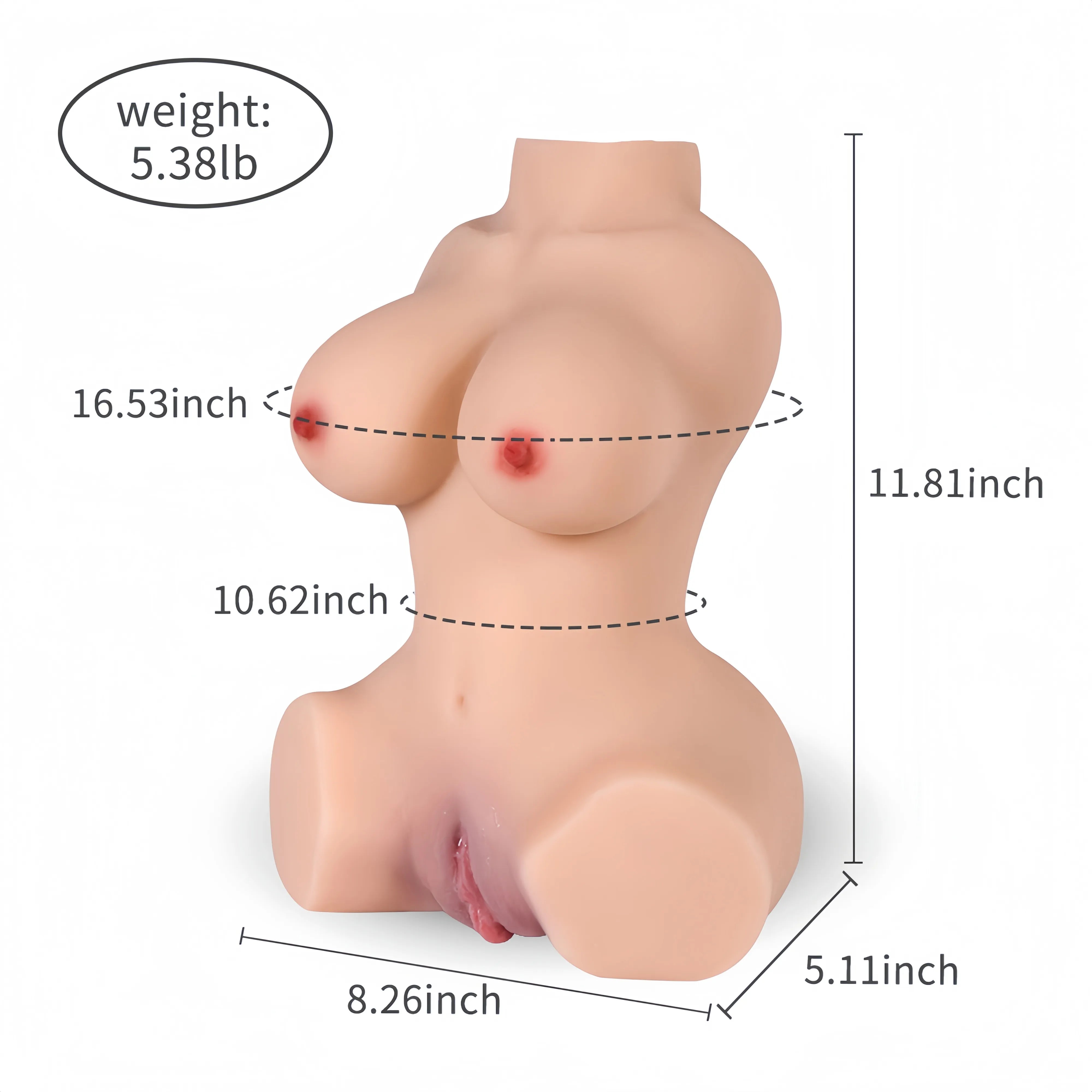 sex doll torso size