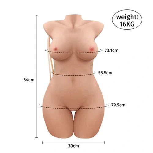 sex dolls torso size