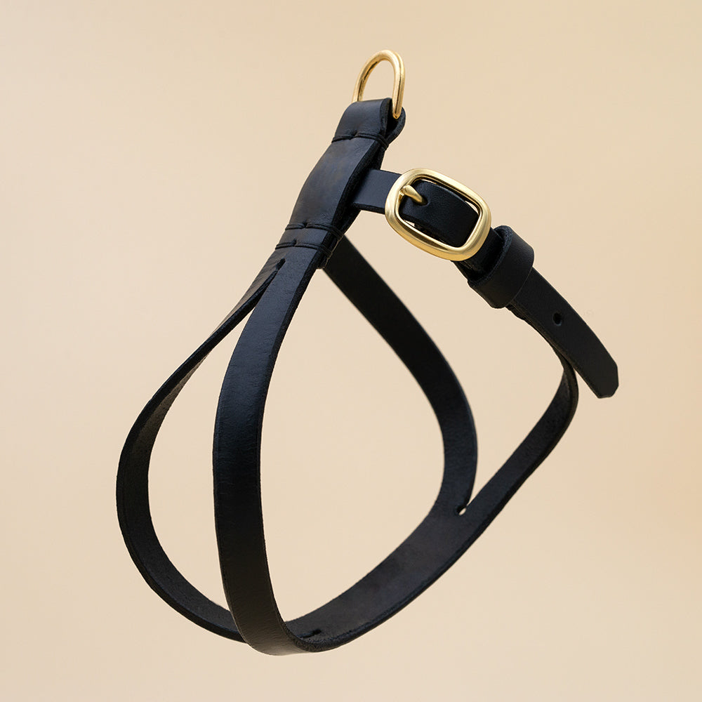 Canem Studio leather harness