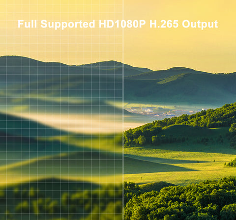Codifica H.265 Full HD Supporta 1080P
