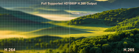 Codifica H.265 Full HD Supporta 1080P