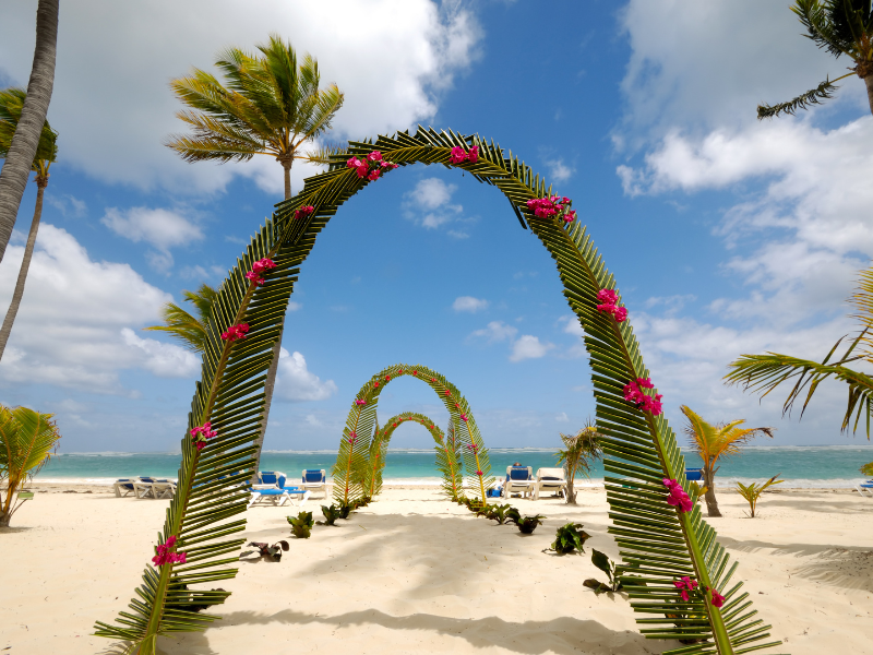 Palm arch for wedding