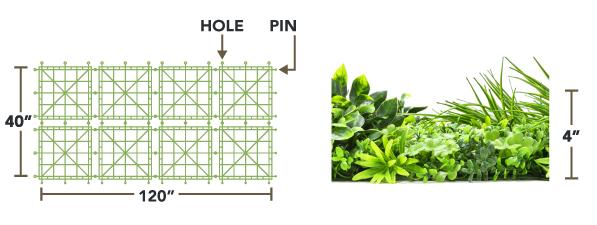 Maui Living Wall Specification