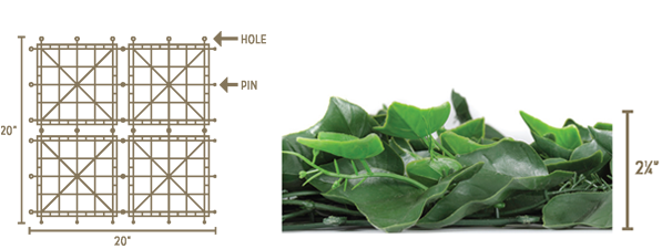 Green Ivy Leaf Specification