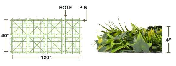 Rainforest Living Wall Specification