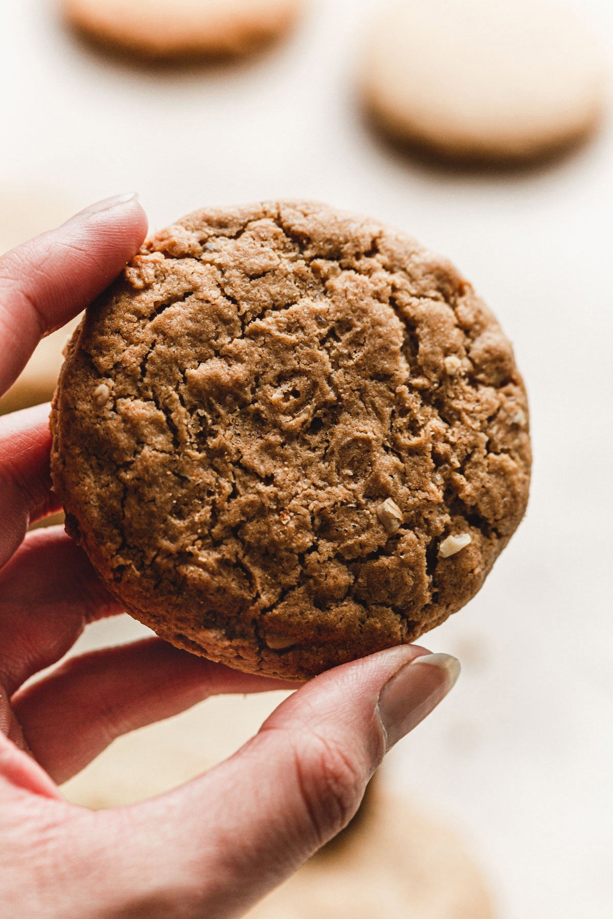 Galletas de avena clásicas – Come bonito tienda