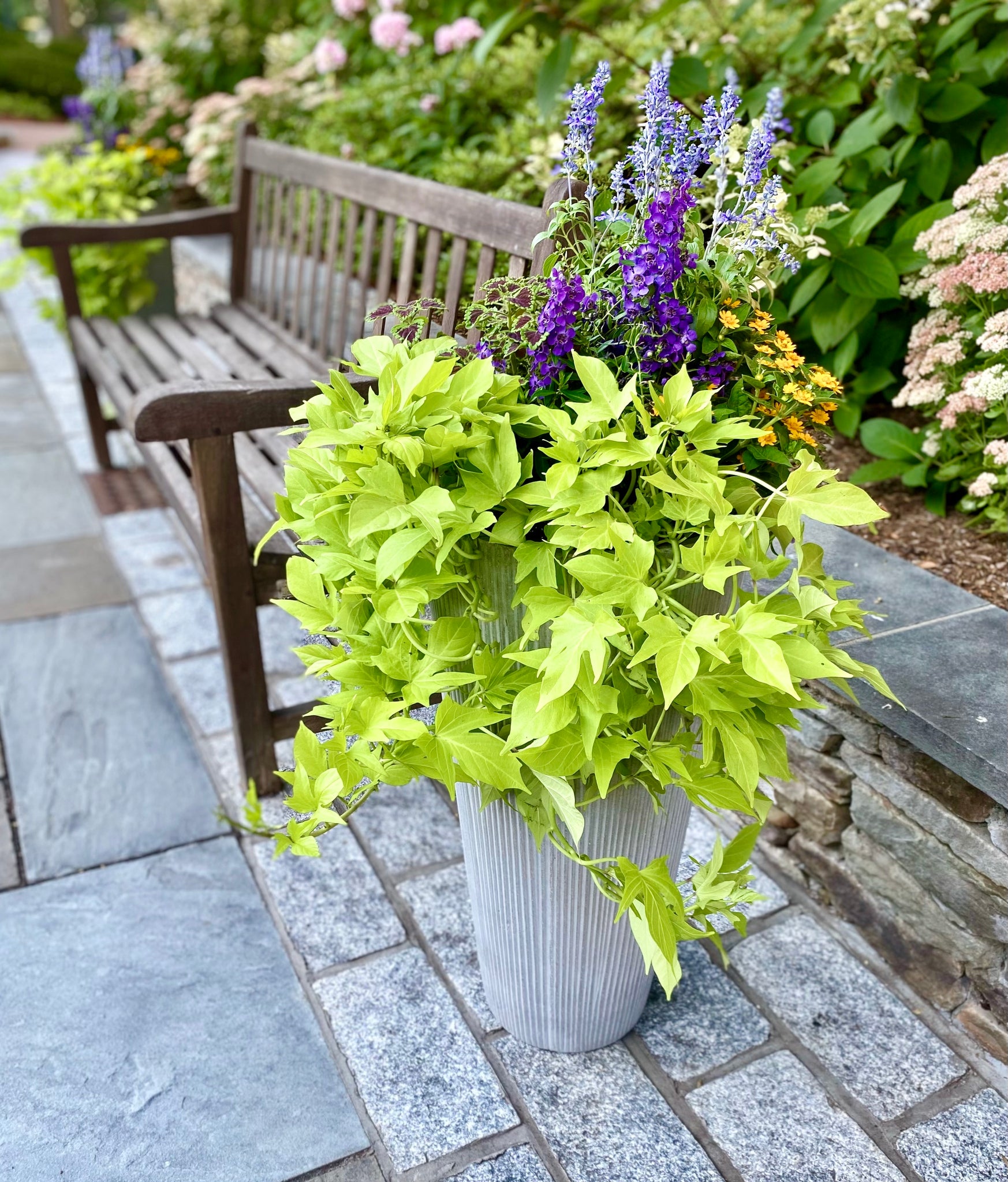 Wooden garden bench flanked by fluted concrete pedestal planters filled with blue, purple, and yellow flowers surrounded by hanging green vines.