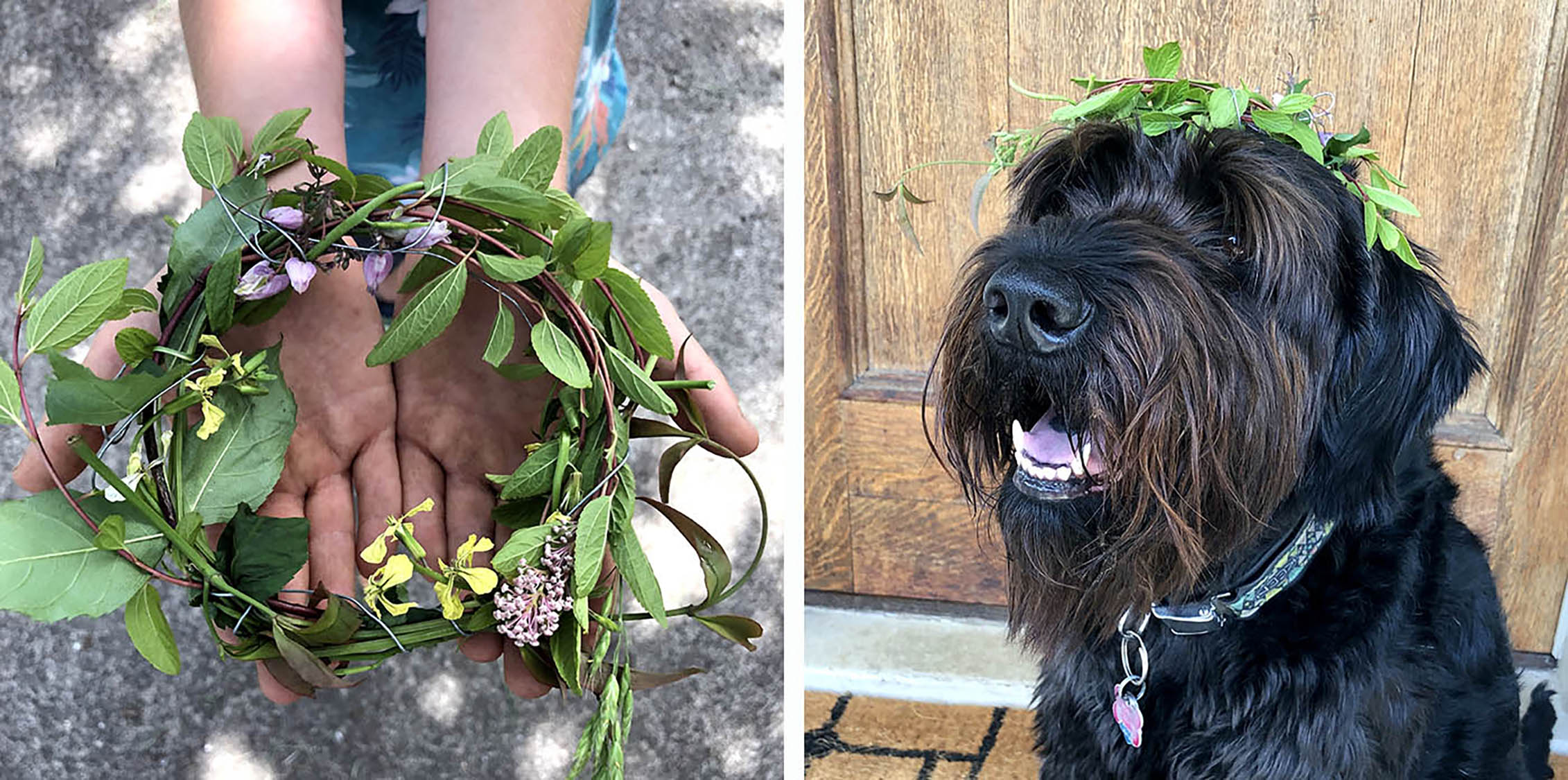 nature wreath on a dog