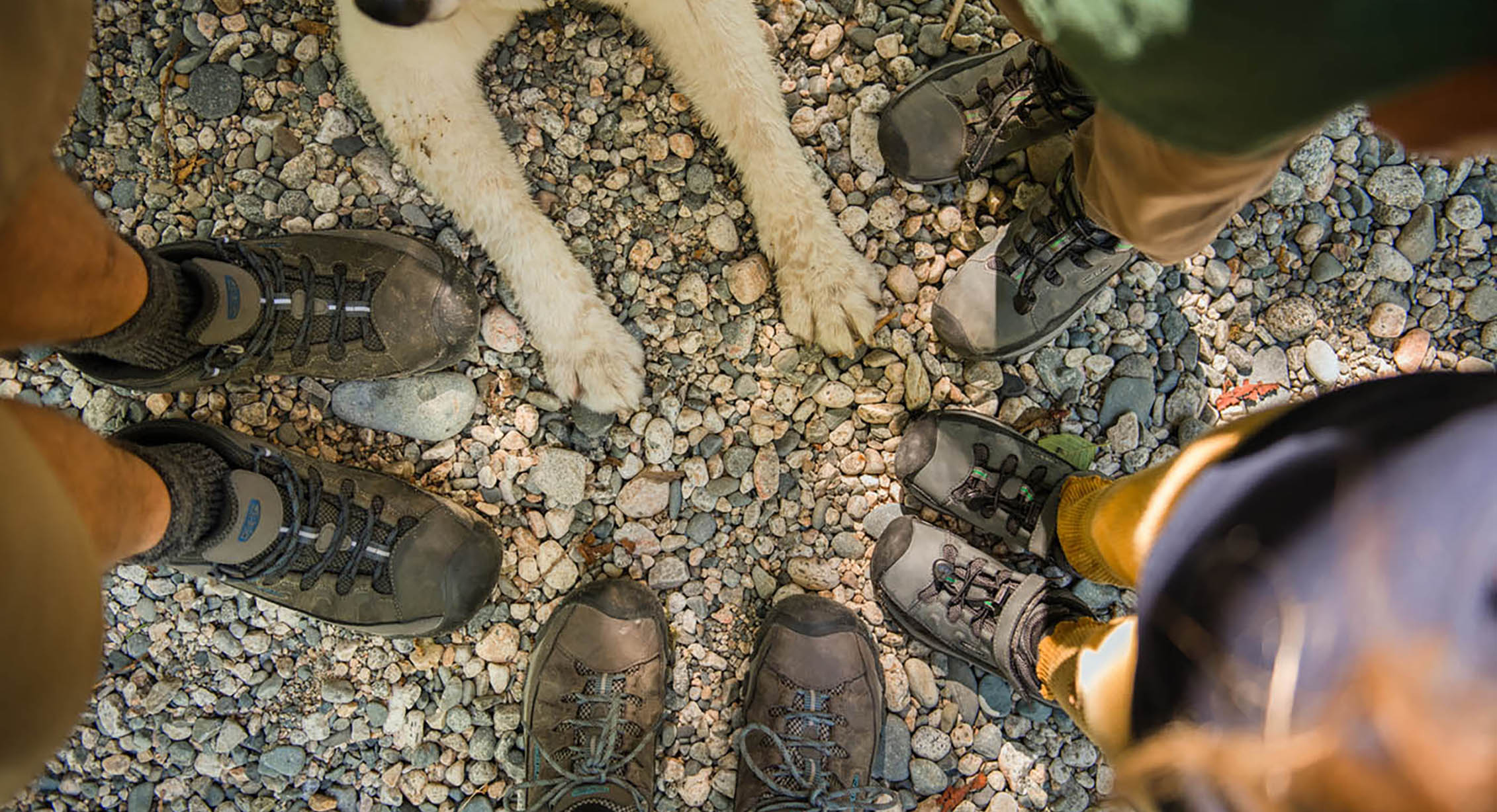 A group shot of paws and hiking shoes