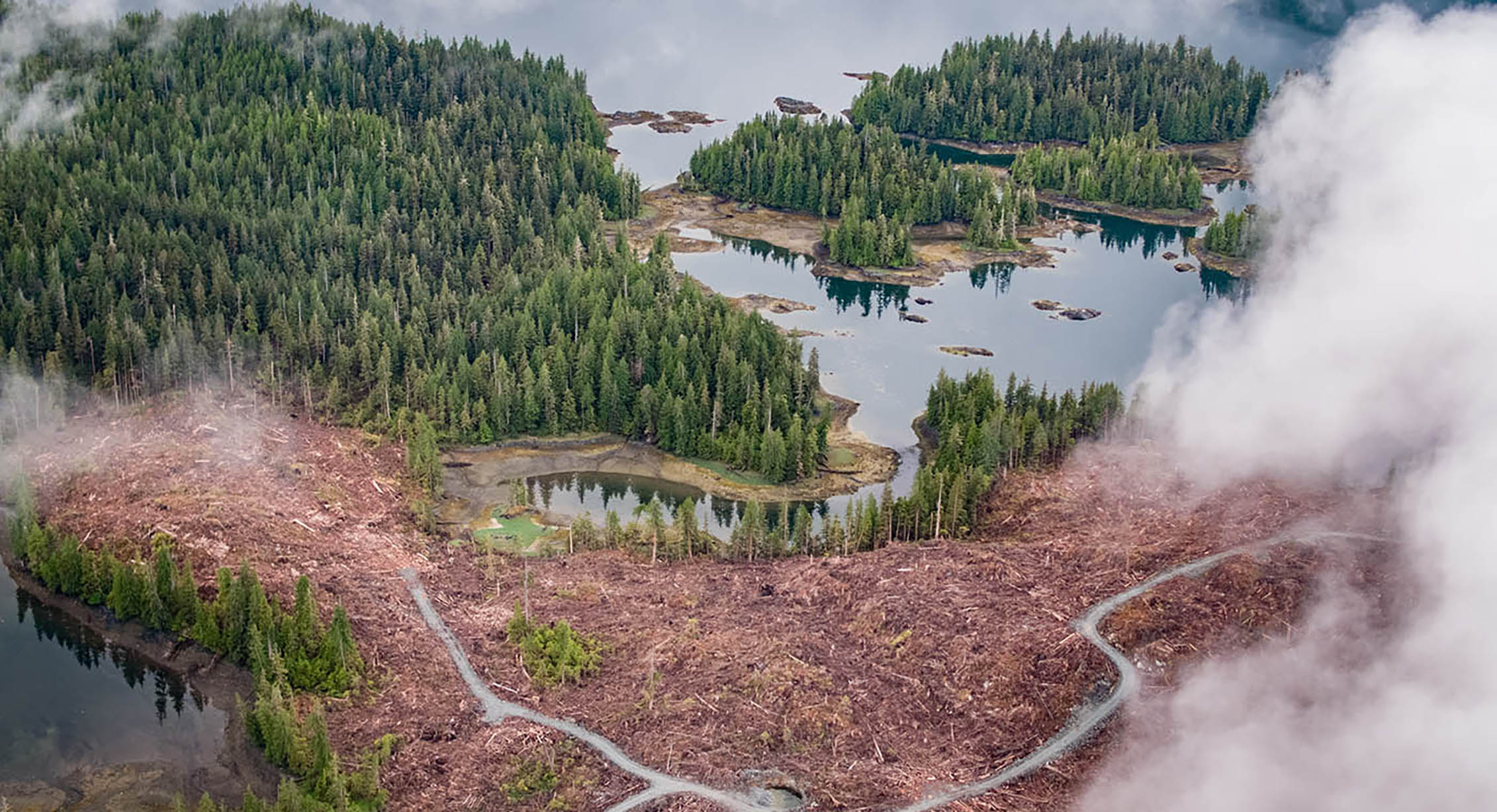 Routes forestières dans la forêt nationale de Tongass