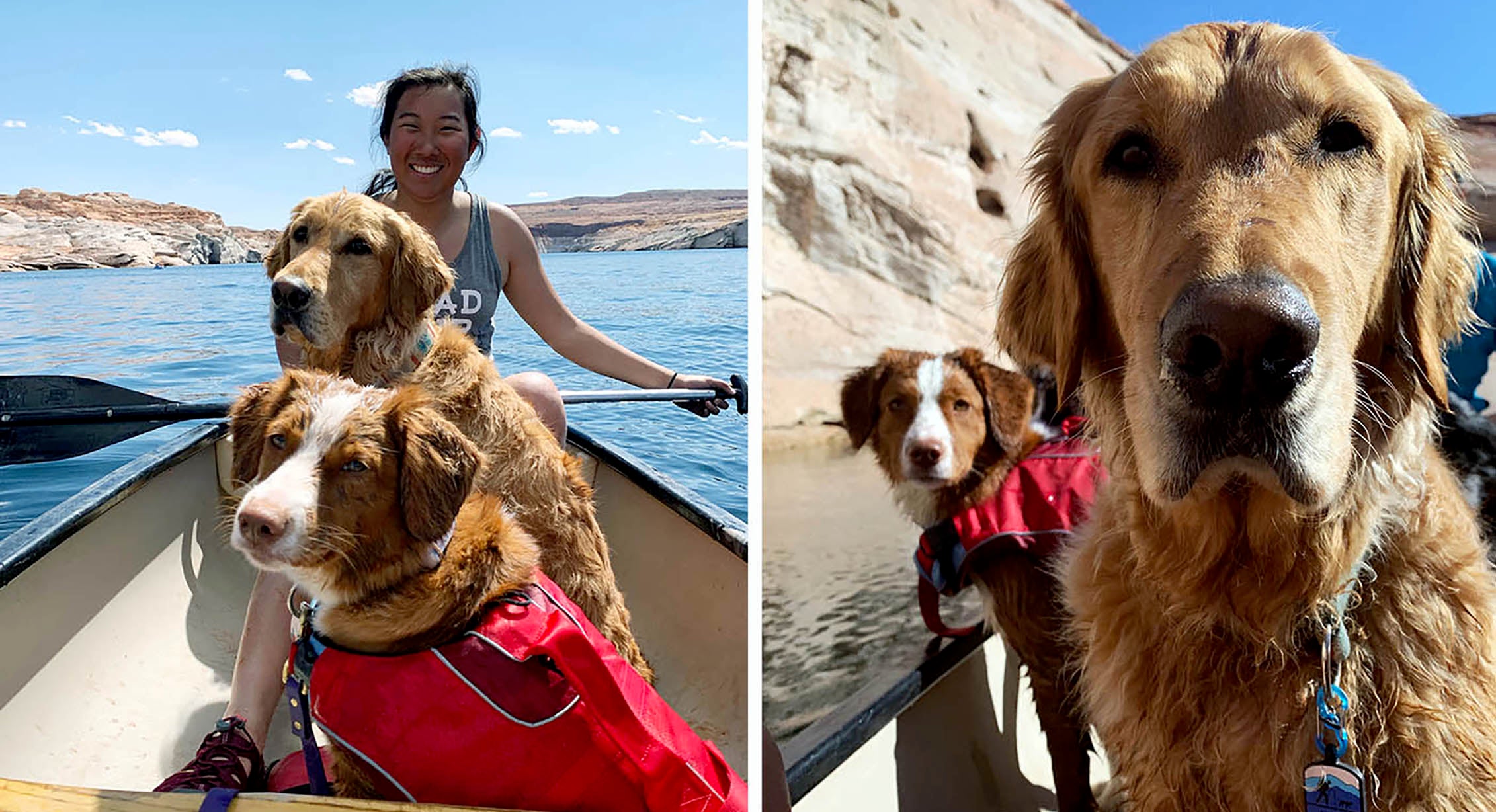 Kayaking to Antelope Canyon with dogs