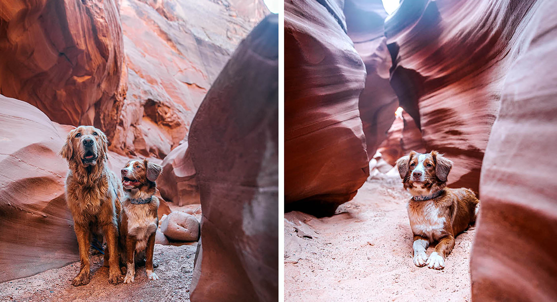 Hiking in Antelope Canyon with dogs