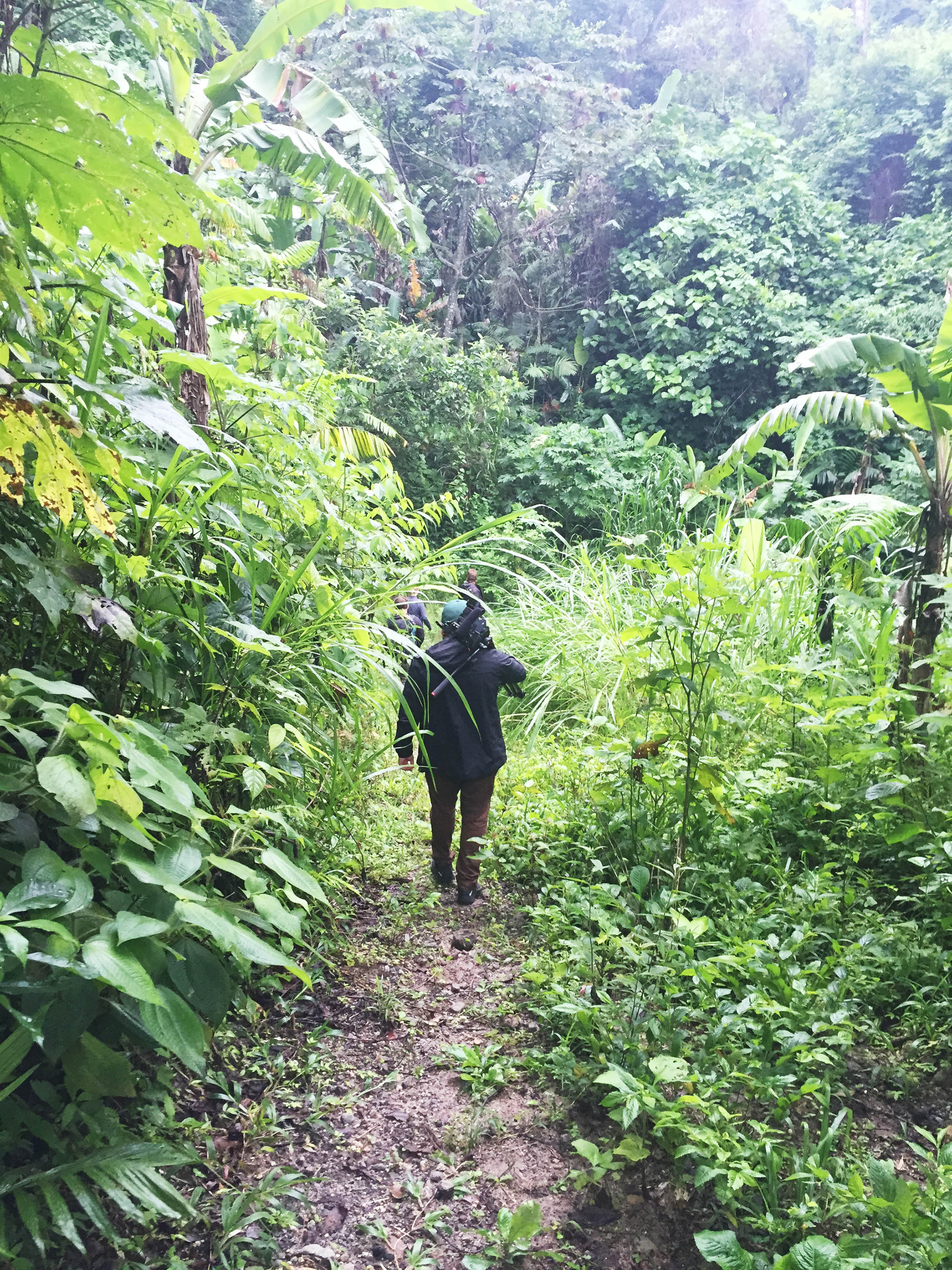 hiking in Guatemala