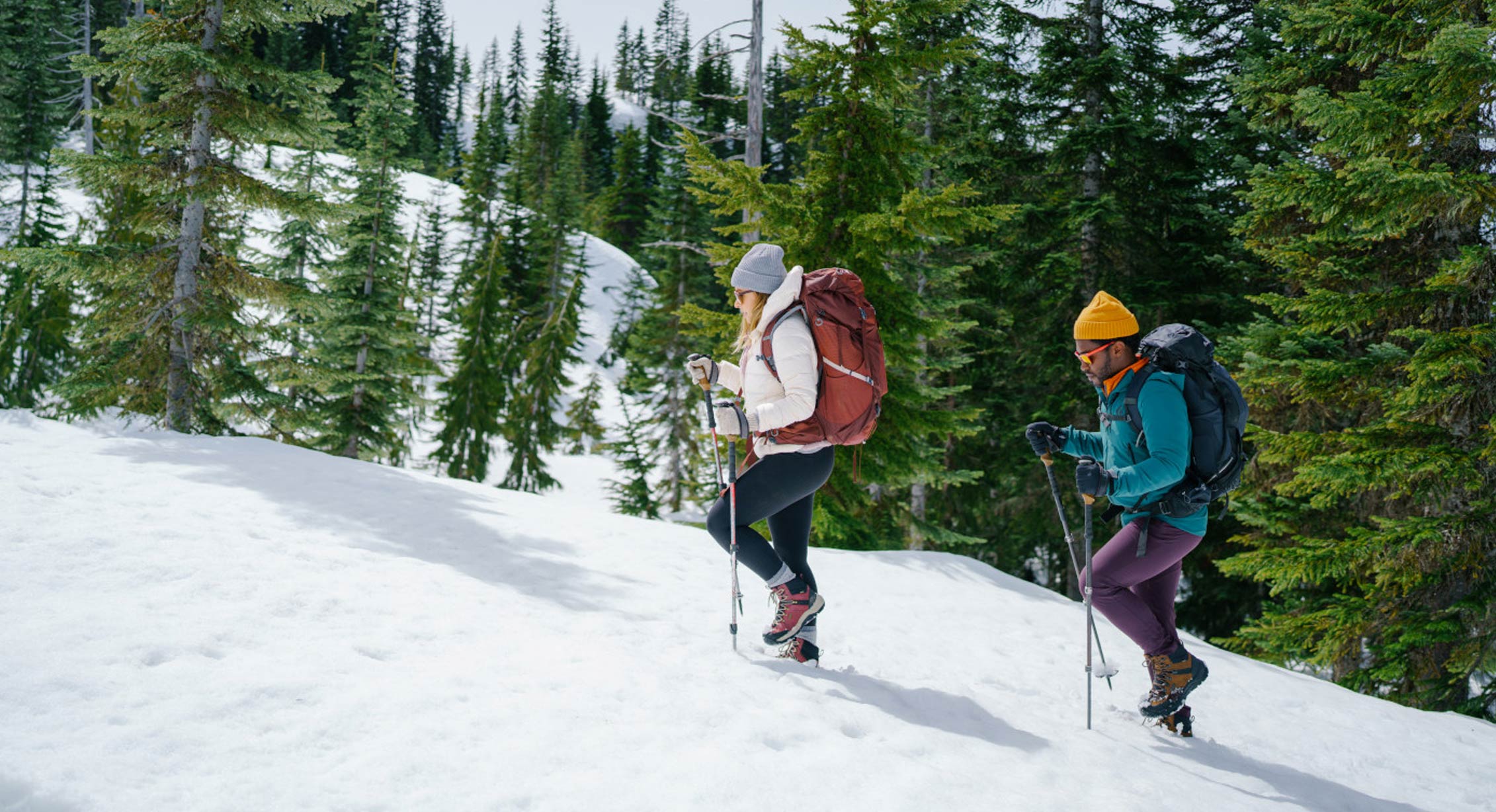 two hikers make their way across a snowfield using trekking poles