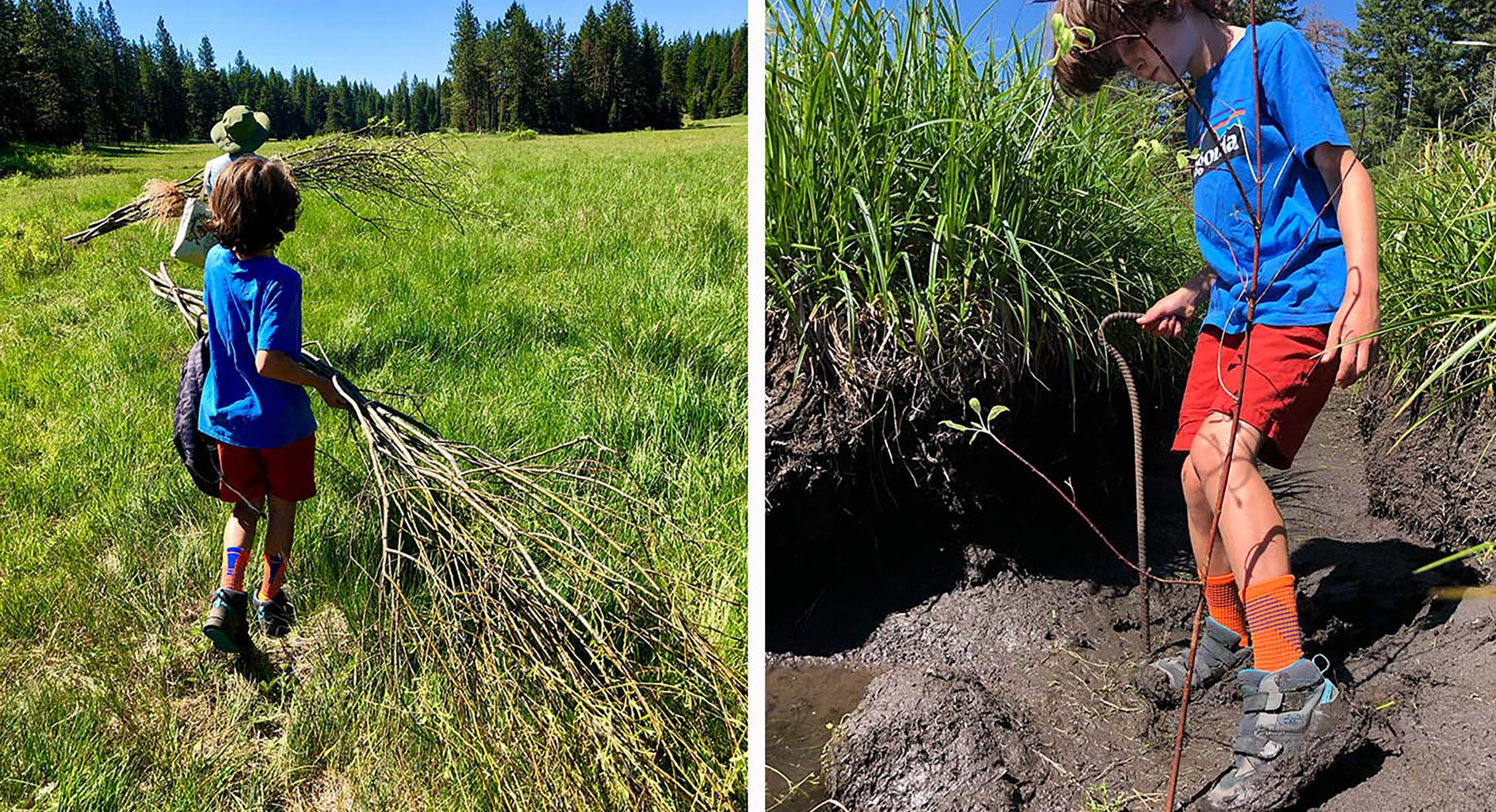 Un enfant plantant des arbres dans une zone humide