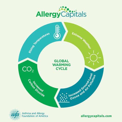 Global Warming Cycle and Seasonal Allergies