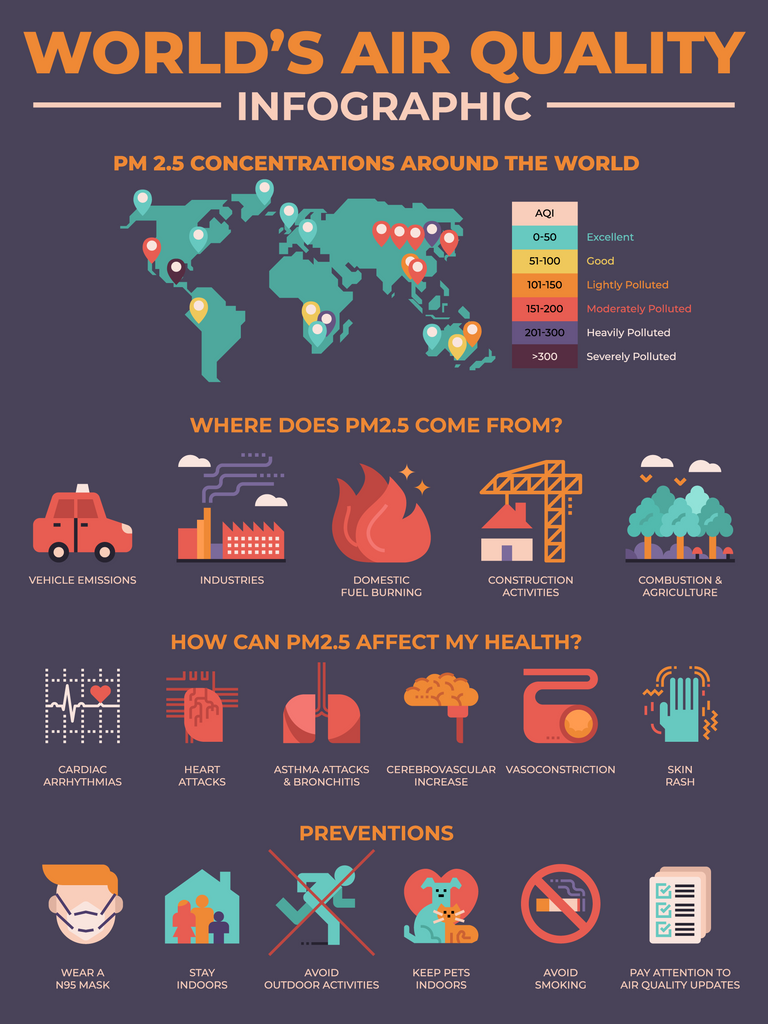 World's Air Quality Infographic