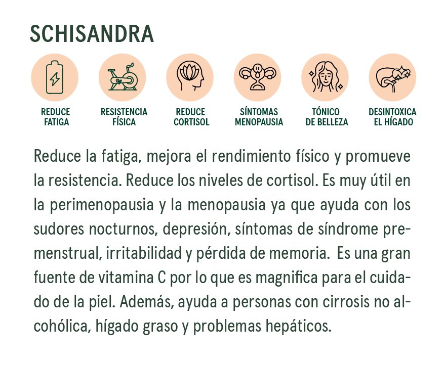 schisandra_pri