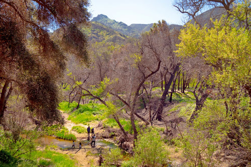 Malibu Creek State Park