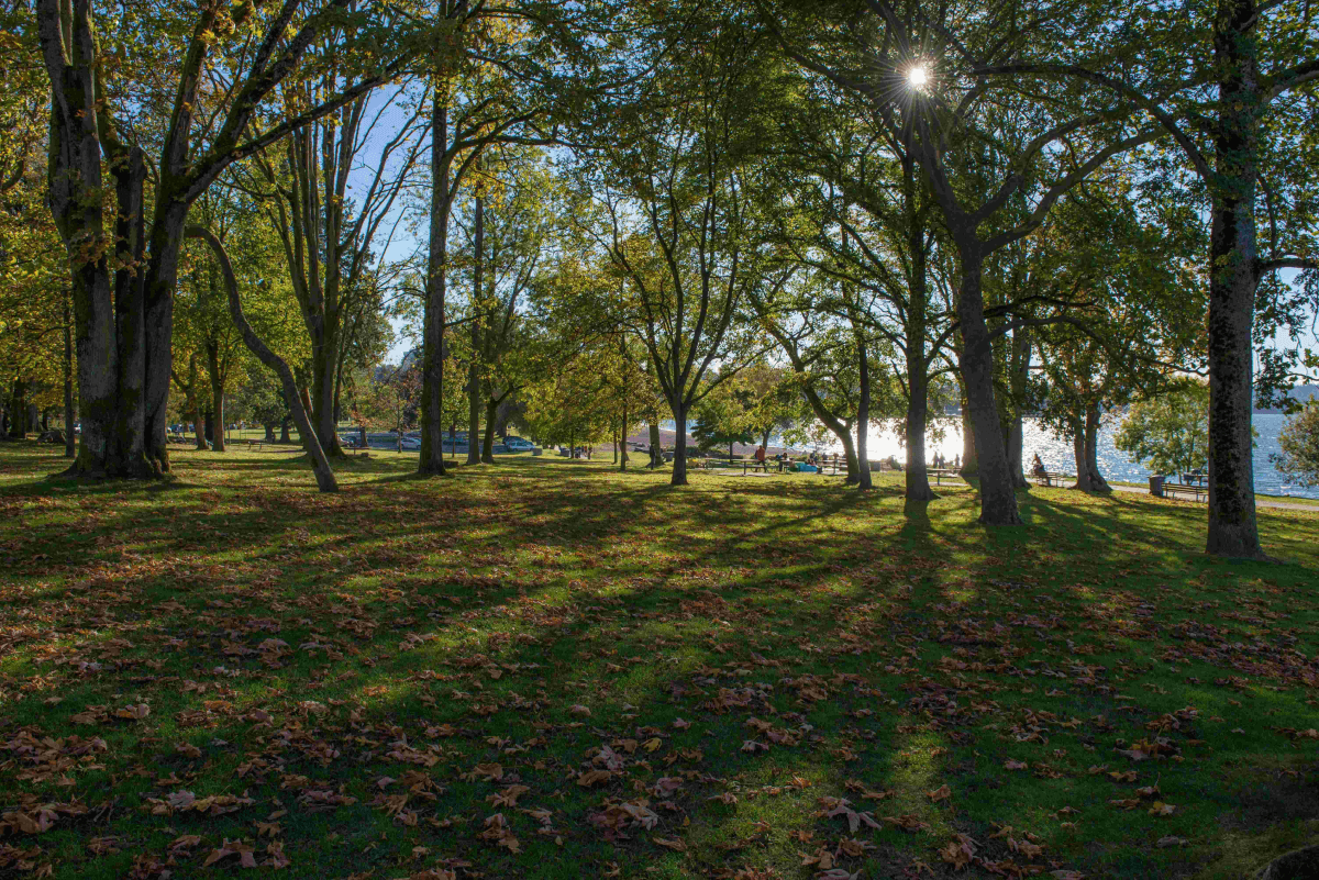 Queen Elizabeth Park Gathering Grounds
