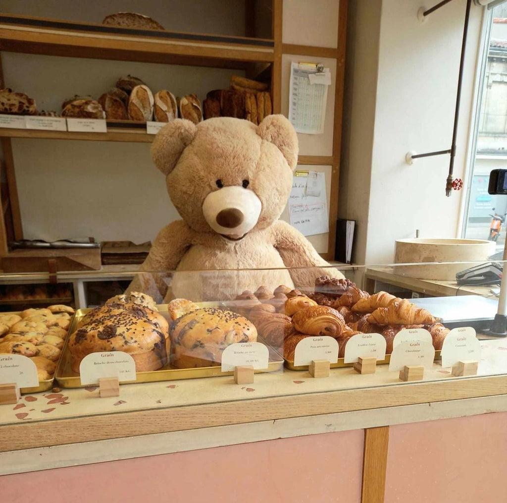 teddy-bear-plush-toy-stuffed-animals-Teddybär-ours-en-peluche-le-nounours-des-peluches